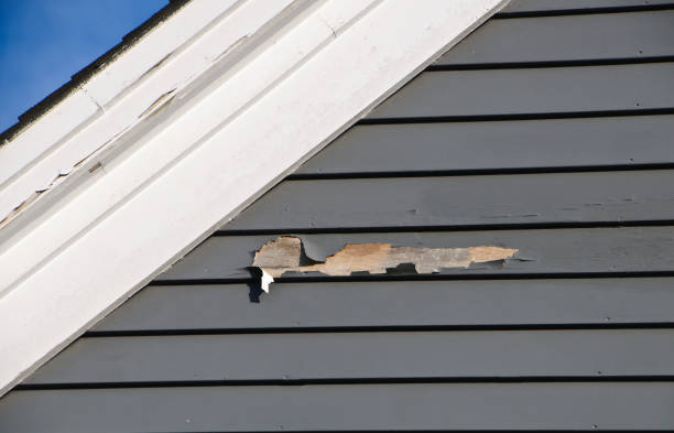 Affordable siding repair and maintenance services in Ashland, NE